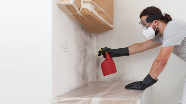 Professional Attic Mold Remediation technician working in Abingdon, IL