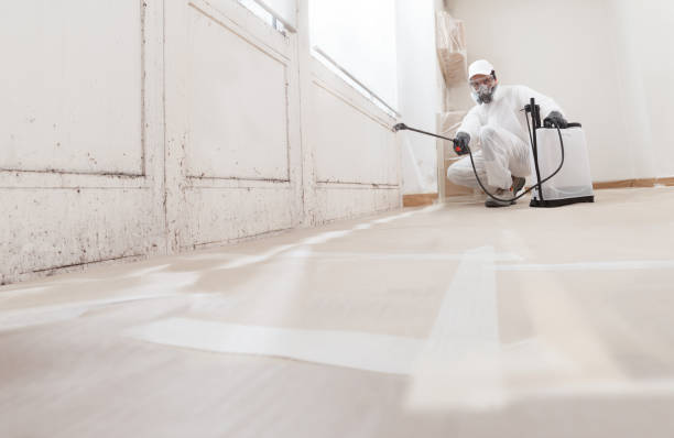 24/7 Emergency Attic Mold Remediation experts in Abingdon, IL